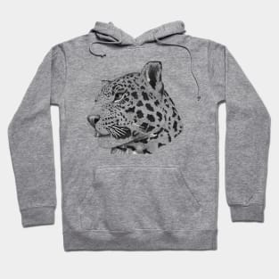 Leopard Big Cat Wildlife Exotic Animal Nature Hoodie